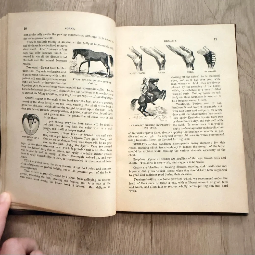 Antique 1886 Book, The Horse and His Diseases, Illustrated By‎ Dr. B. J. Kendall